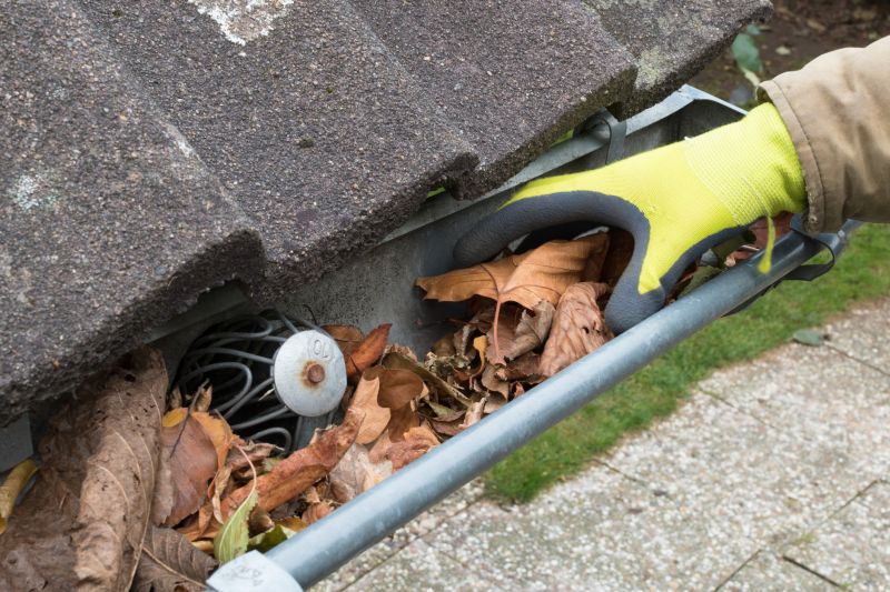 Clean Gutter System with Covers