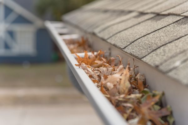 Leaf Barrier Installation in De Pere